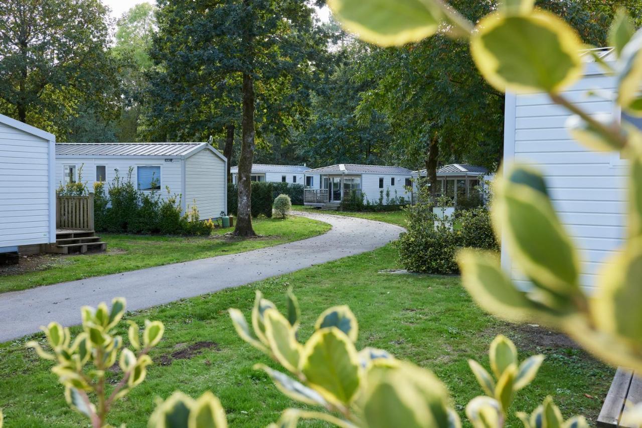 Mobil Xxl 4 - Les Jardins Du Morbihan Camping Monterblanc